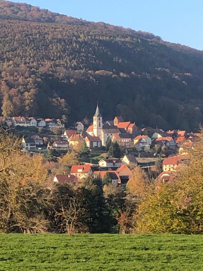 Gite L'Instant Durable Oberbronn Esterno foto
