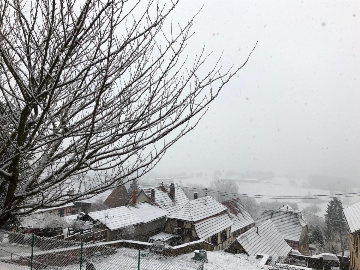 Gite L'Instant Durable Oberbronn Esterno foto