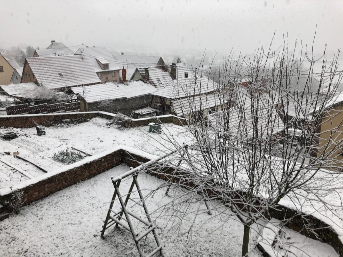 Gite L'Instant Durable Oberbronn Esterno foto