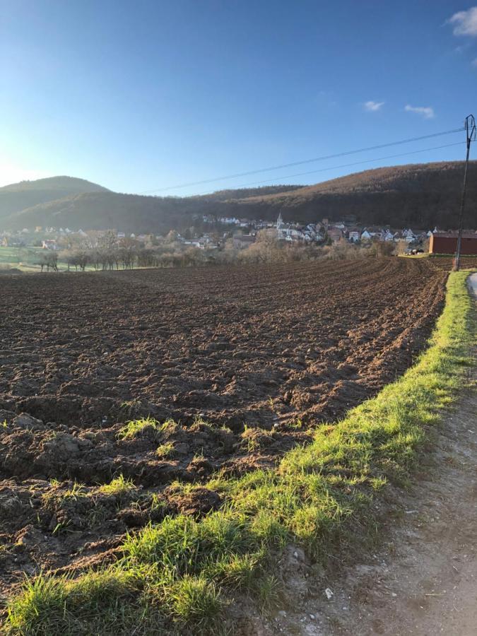 Gite L'Instant Durable Oberbronn Esterno foto