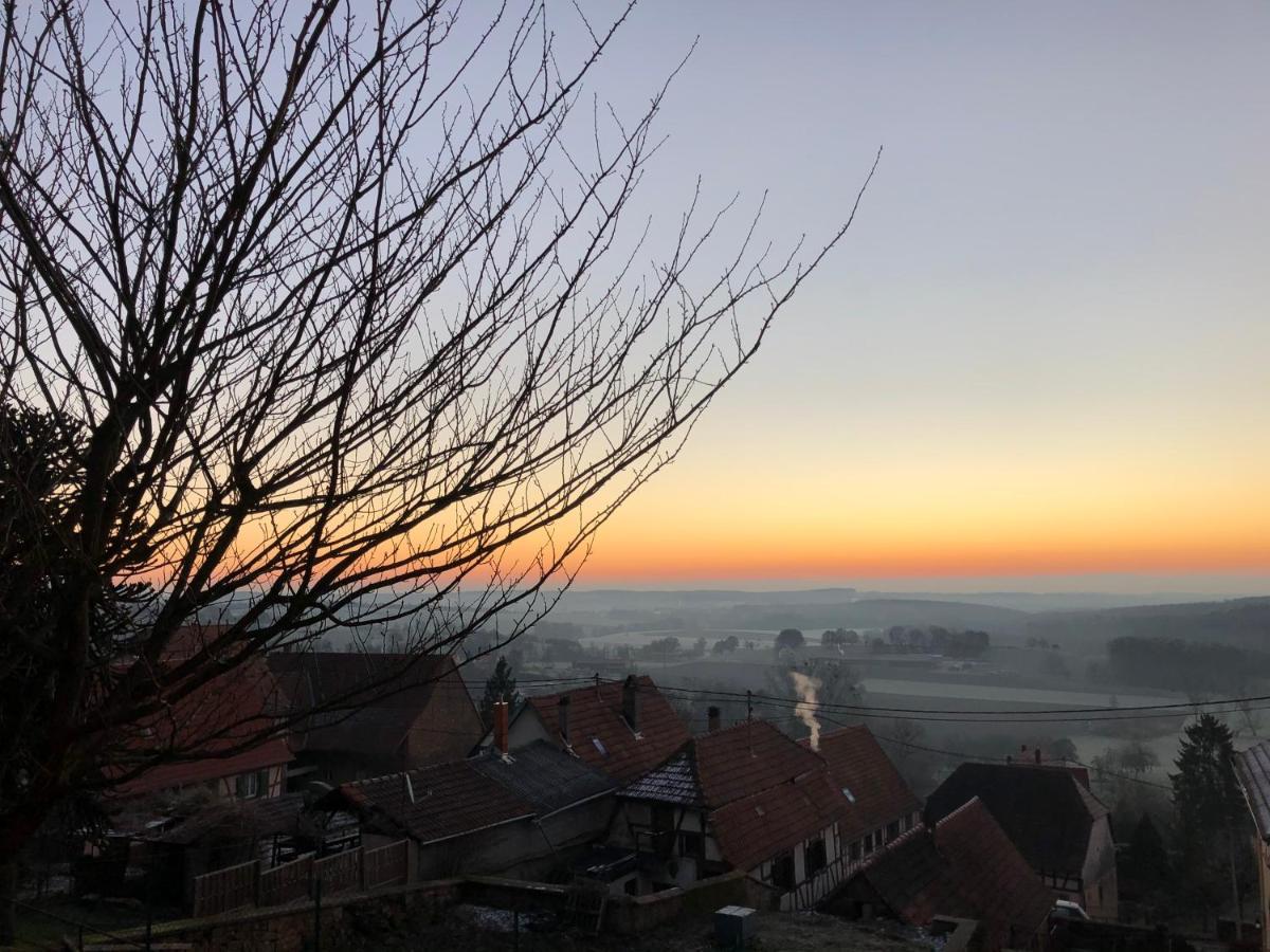 Gite L'Instant Durable Oberbronn Esterno foto