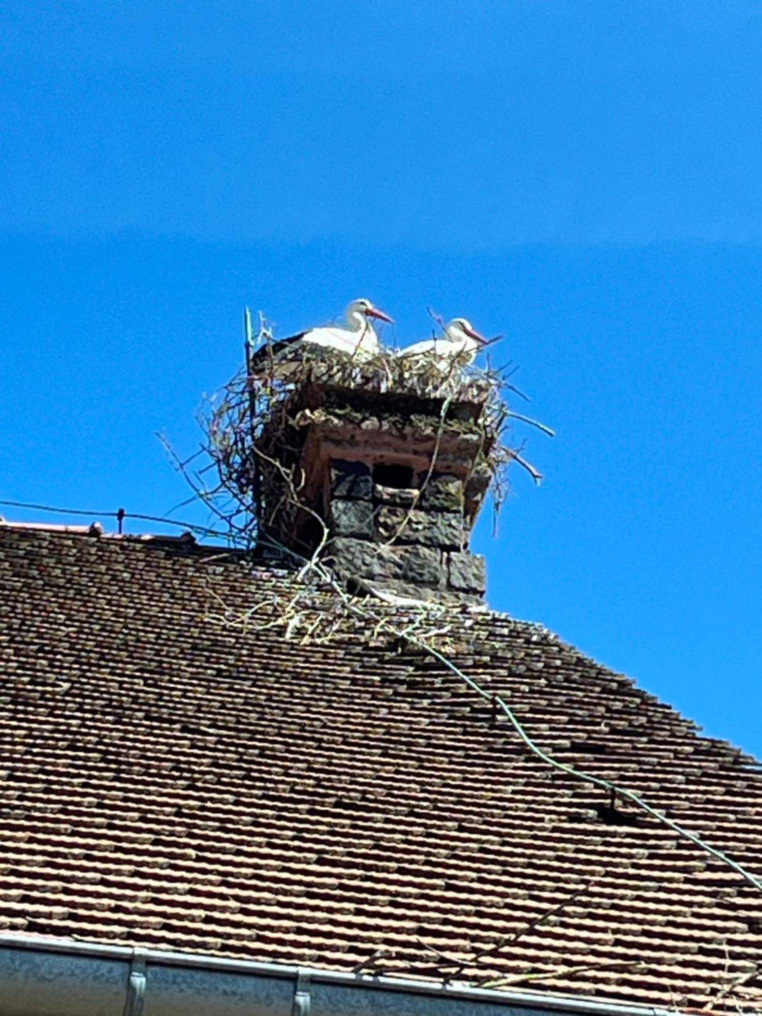 Gite L'Instant Durable Oberbronn Esterno foto
