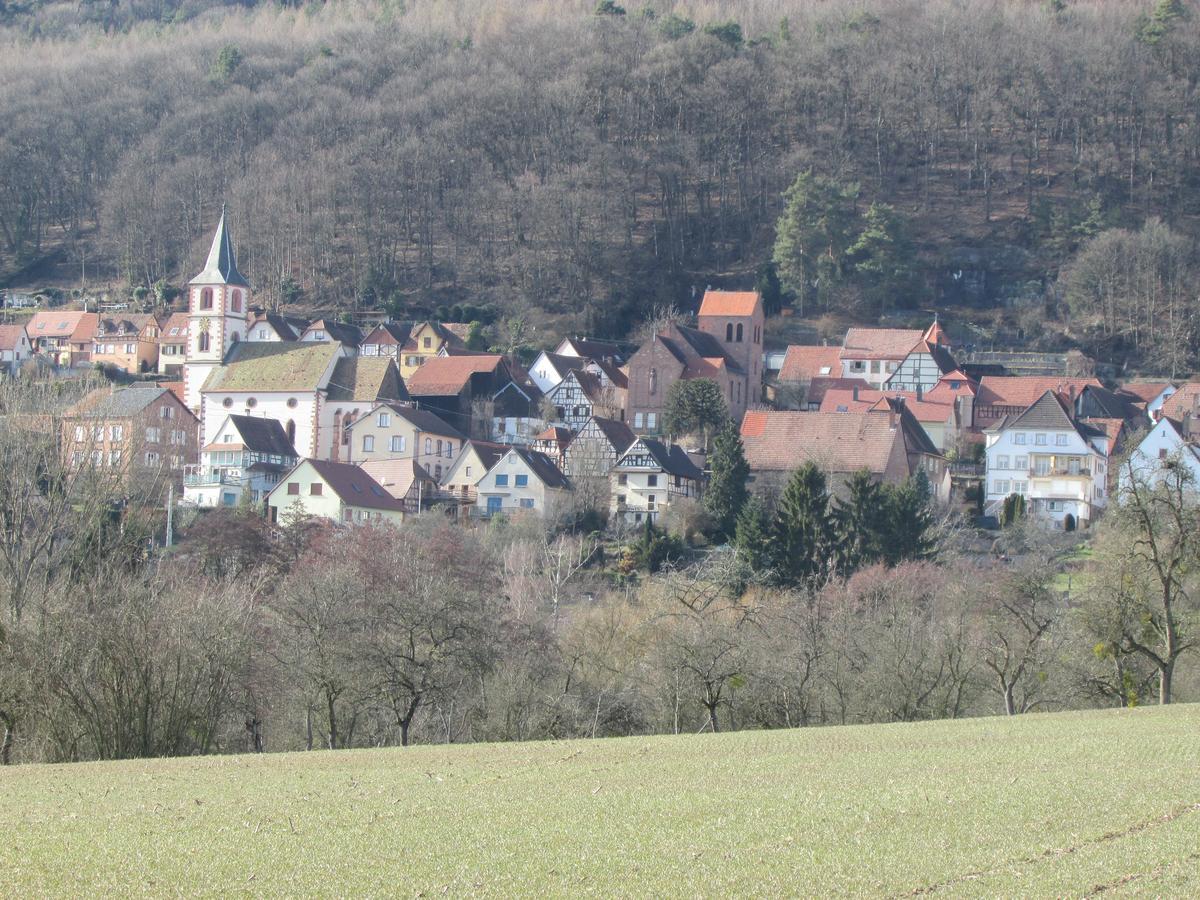 Gite L'Instant Durable Oberbronn Esterno foto